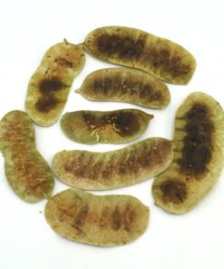 Σέννα φύλλα Αιγύπτου 50gr