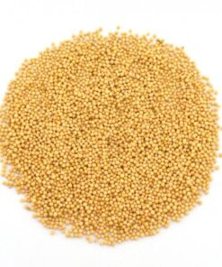 ΣΙΝΑΠΙ ΚΙΤΡΙΝΟ 50gr